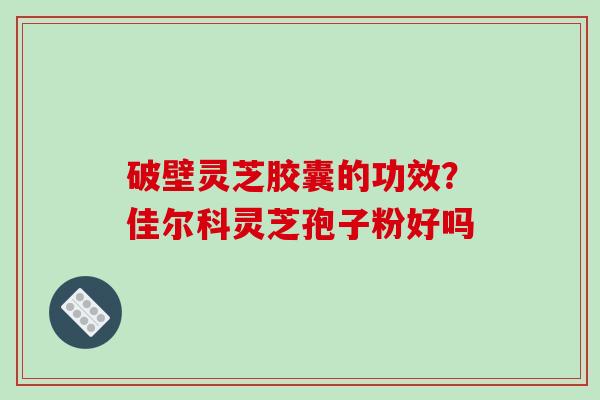破壁灵芝胶囊的功效?佳尔科灵芝孢子粉好吗-第1张图片-破壁灵芝孢子粉研究指南 破壁灵芝胶囊的功效?佳尔科灵芝孢子粉好吗-第1张图片-破壁灵芝孢子粉研究指南