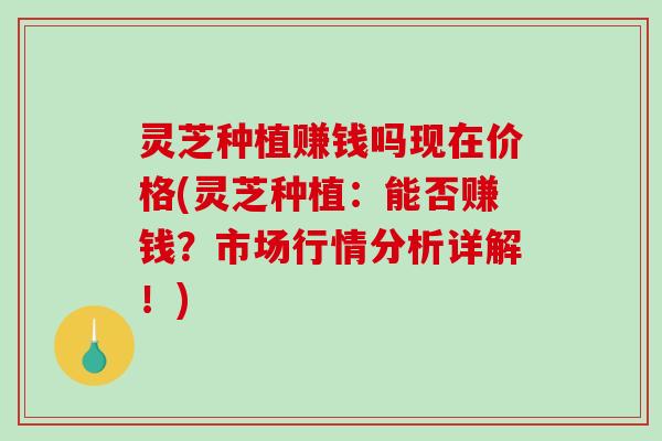 灵芝种植赚钱吗现在价格(灵芝种植:能否赚钱?市场行情分析详解!)-第1张图片-破壁灵芝孢子粉研究指南 灵芝种植赚钱吗现在价格(灵芝种植:能否赚钱?市场行情分析详解!)-第1张图片-破壁灵芝孢子粉研究指南