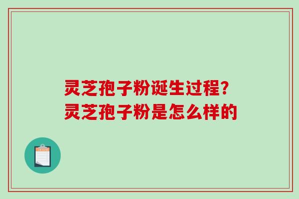 灵芝孢子粉诞生过程?灵芝孢子粉是怎么样的-第1张图片-破壁灵芝孢子粉研究指南 灵芝孢子粉诞生过程?灵芝孢子粉是怎么样的-第1张图片-破壁灵芝孢子粉研究指南