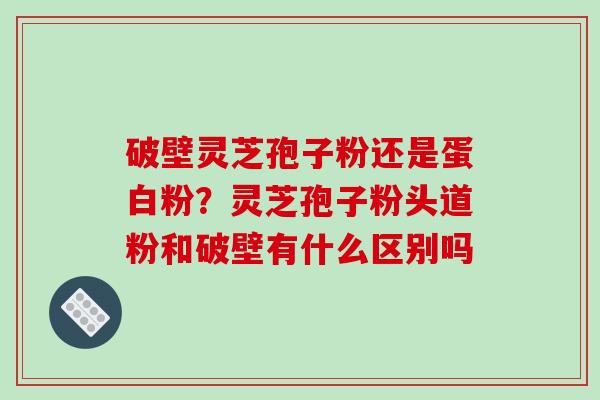 破壁灵芝孢子粉还是蛋白粉？灵芝孢子粉头道粉和破壁有什么区别吗-第1张图片-破壁灵芝孢子粉研究指南