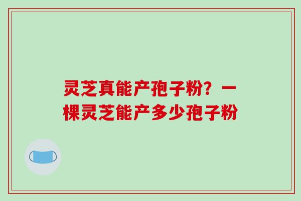 灵芝真能产孢子粉?一棵灵芝能产多少孢子粉-第1张图片-破壁灵芝孢子粉研究指南 灵芝真能产孢子粉?一棵灵芝能产多少孢子粉-第1张图片-破壁灵芝孢子粉研究指南