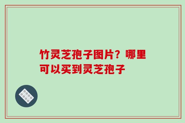 竹灵芝孢子图片?哪里可以买到灵芝孢子-第1张图片-破壁灵芝孢子粉研究指南 竹灵芝孢子图片?哪里可以买到灵芝孢子-第1张图片-破壁灵芝孢子粉研究指南
