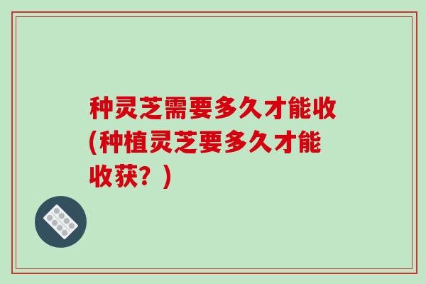 种灵芝需要多久才能收(种植灵芝要多久才能收获?)-第1张图片-破壁灵芝孢子粉研究指南 种灵芝需要多久才能收(种植灵芝要多久才能收获?)-第1张图片-破壁灵芝孢子粉研究指南
