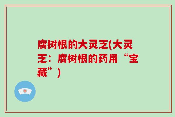 腐树根的大灵芝(大灵芝:腐树根的药用“宝藏”)-第1张图片-破壁灵芝孢子粉研究指南 腐树根的大灵芝(大灵芝:腐树根的药用“宝藏”)-第1张图片-破壁灵芝孢子粉研究指南