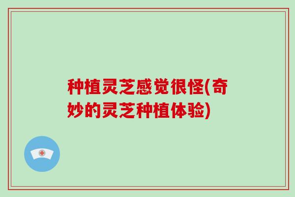 种植灵芝感觉很怪(奇妙的灵芝种植体验)-第1张图片-破壁灵芝孢子粉研究指南 种植灵芝感觉很怪(奇妙的灵芝种植体验)-第1张图片-破壁灵芝孢子粉研究指南