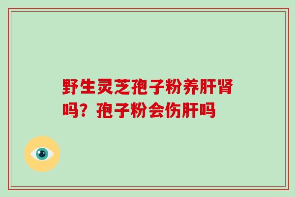 野生灵芝孢子粉养肝肾吗?孢子粉会伤肝吗-第1张图片-破壁灵芝孢子粉研究指南 野生灵芝孢子粉养肝肾吗?孢子粉会伤肝吗-第1张图片-破壁灵芝孢子粉研究指南