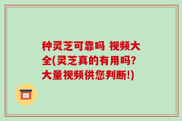 种灵芝可靠吗 视频大全(灵芝真的有用吗?大量视频供您判断!)-第1张图片-破壁灵芝孢子粉研究指南 种灵芝可靠吗 视频大全(灵芝真的有用吗?大量视频供您判断!)-第1张图片-破壁灵芝孢子粉研究指南