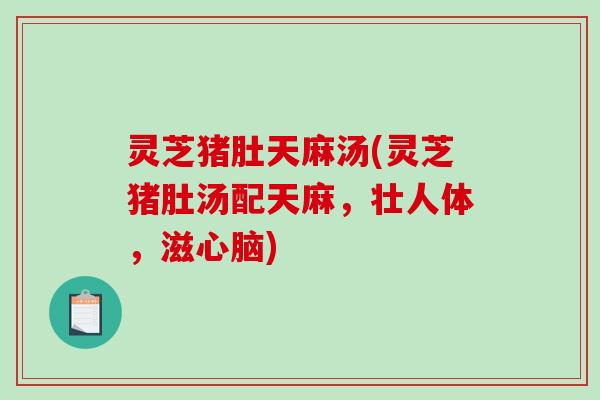 灵芝猪肚天麻汤(灵芝猪肚汤配天麻,壮人体,滋心脑)-第1张图片-破壁灵芝孢子粉研究指南 灵芝猪肚天麻汤(灵芝猪肚汤配天麻,壮人体,滋心脑)-第1张图片-破壁灵芝孢子粉研究指南