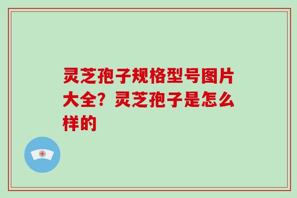 灵芝孢子规格型号图片大全?灵芝孢子是怎么样的-第1张图片-破壁灵芝孢子粉研究指南 灵芝孢子规格型号图片大全?灵芝孢子是怎么样的-第1张图片-破壁灵芝孢子粉研究指南