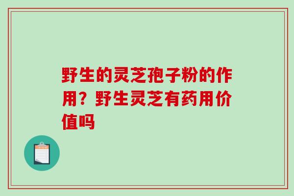 野生的灵芝孢子粉的作用?野生灵芝有药用价值吗-第1张图片-破壁灵芝孢子粉研究指南 野生的灵芝孢子粉的作用?野生灵芝有药用价值吗-第1张图片-破壁灵芝孢子粉研究指南