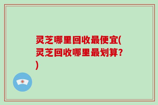 灵芝哪里回收最便宜(灵芝回收哪里最划算?)-第1张图片-破壁灵芝孢子粉研究指南 灵芝哪里回收最便宜(灵芝回收哪里最划算?)-第1张图片-破壁灵芝孢子粉研究指南