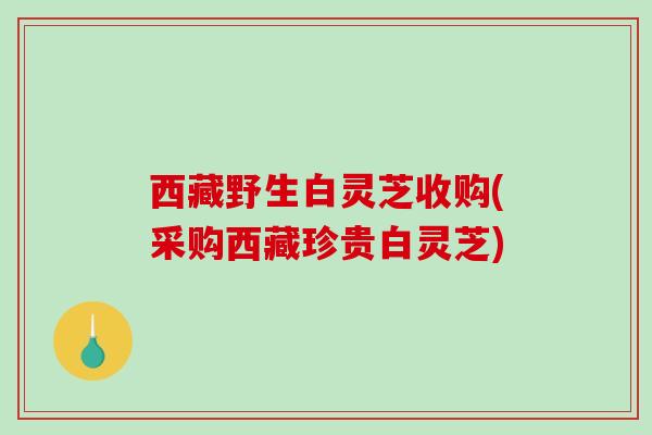 西藏野生白灵芝收购(采购西藏珍贵白灵芝)-第1张图片-破壁灵芝孢子粉研究指南 西藏野生白灵芝收购(采购西藏珍贵白灵芝)-第1张图片-破壁灵芝孢子粉研究指南
