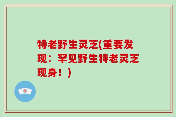 特老野生灵芝(重要发现:罕见野生特老灵芝现身!)-第1张图片-破壁灵芝孢子粉研究指南 特老野生灵芝(重要发现:罕见野生特老灵芝现身!)-第1张图片-破壁灵芝孢子粉研究指南