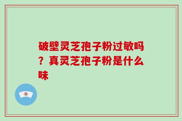 破壁灵芝孢子粉过敏吗?真灵芝孢子粉是什么味-第1张图片-破壁灵芝孢子粉研究指南 破壁灵芝孢子粉过敏吗?真灵芝孢子粉是什么味-第1张图片-破壁灵芝孢子粉研究指南