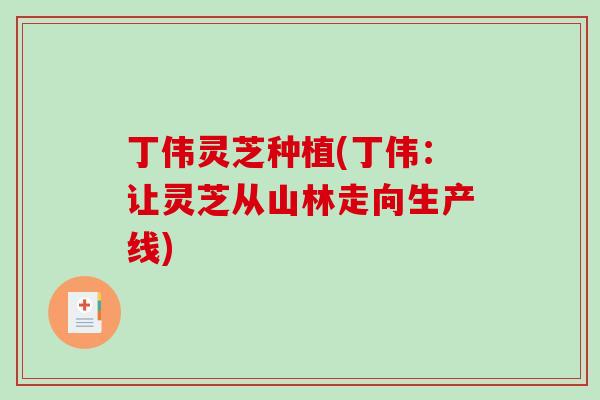 丁伟灵芝种植(丁伟:让灵芝从山林走向生产线)-第1张图片-破壁灵芝孢子粉研究指南 丁伟灵芝种植(丁伟:让灵芝从山林走向生产线)-第1张图片-破壁灵芝孢子粉研究指南