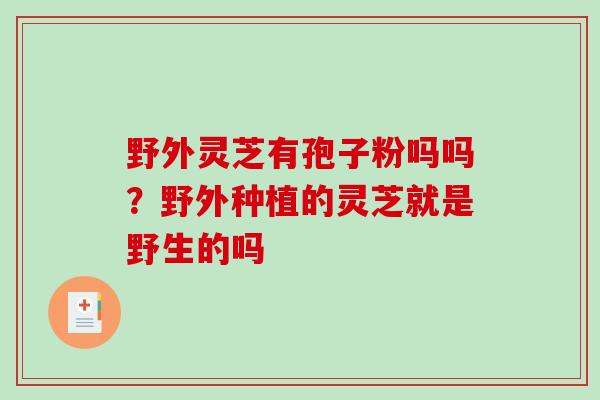 野外灵芝有孢子粉吗吗?野外种植的灵芝就是野生的吗-第1张图片-破壁灵芝孢子粉研究指南 野外灵芝有孢子粉吗吗?野外种植的灵芝就是野生的吗-第1张图片-破壁灵芝孢子粉研究指南