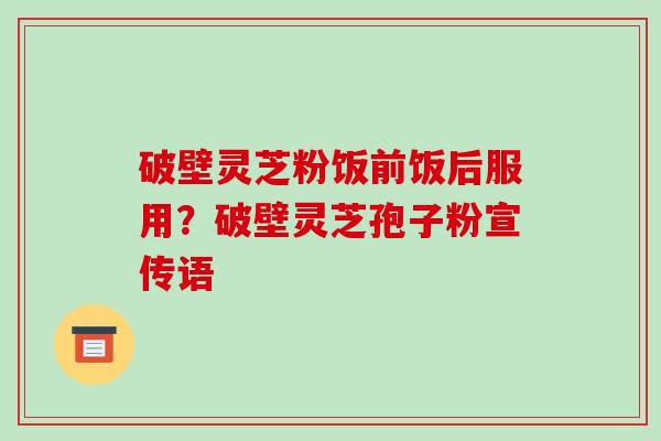 破壁灵芝粉饭前饭后服用?破壁灵芝孢子粉宣传语-第1张图片-破壁灵芝孢子粉研究指南 破壁灵芝粉饭前饭后服用?破壁灵芝孢子粉宣传语-第1张图片-破壁灵芝孢子粉研究指南
