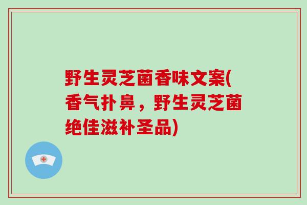 野生灵芝菌香味文案(香气扑鼻,野生灵芝菌绝佳滋补圣品)-第1张图片-破壁灵芝孢子粉研究指南 野生灵芝菌香味文案(香气扑鼻,野生灵芝菌绝佳滋补圣品)-第1张图片-破壁灵芝孢子粉研究指南