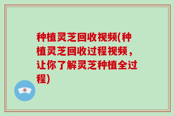 种植灵芝回收视频(种植灵芝回收过程视频,让你了解灵芝种植全过程)-第1张图片-破壁灵芝孢子粉研究指南 种植灵芝回收视频(种植灵芝回收过程视频,让你了解灵芝种植全过程)-第1张图片-破壁灵芝孢子粉研究指南