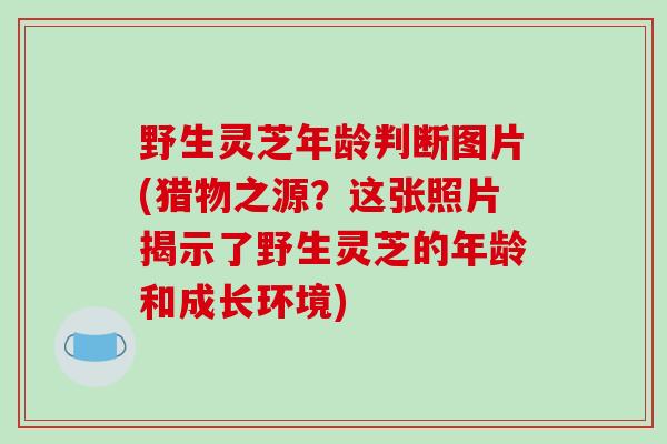 野生灵芝年龄判断图片(猎物之源？这张照片揭示了野生灵芝的年龄和成长环境)-第1张图片-破壁灵芝孢子粉研究指南