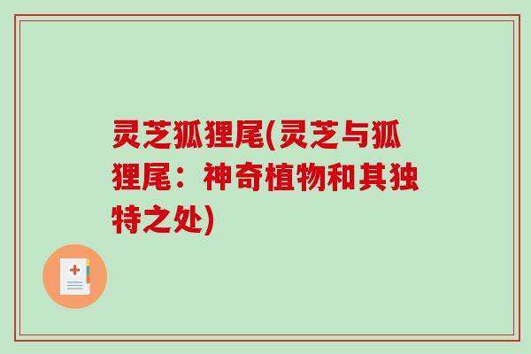 灵芝狐狸尾(灵芝与狐狸尾:神奇植物和其独特之处)-第1张图片-破壁灵芝孢子粉研究指南 灵芝狐狸尾(灵芝与狐狸尾:神奇植物和其独特之处)-第1张图片-破壁灵芝孢子粉研究指南