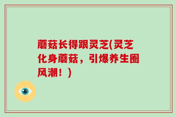 蘑菇长得跟灵芝(灵芝化身蘑菇,引爆养生圈风潮!)-第1张图片-破壁灵芝孢子粉研究指南 蘑菇长得跟灵芝(灵芝化身蘑菇,引爆养生圈风潮!)-第1张图片-破壁灵芝孢子粉研究指南
