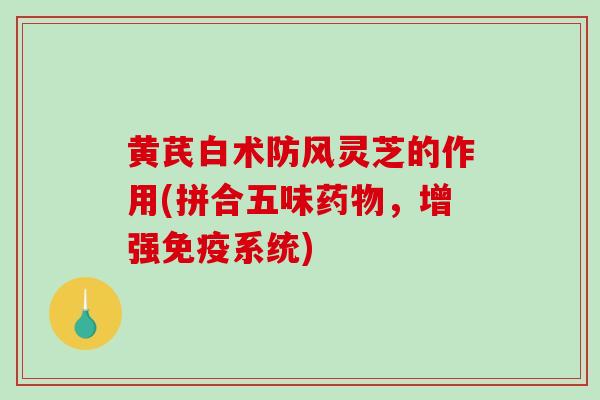 黄芪白术防风灵芝的作用(拼合五味药物，增强免疫系统)-第1张图片-破壁灵芝孢子粉研究指南