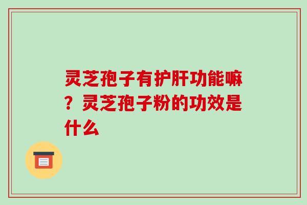 灵芝孢子有护肝功能嘛?灵芝孢子粉的功效是什么-第1张图片-破壁灵芝孢子粉研究指南 灵芝孢子有护肝功能嘛?灵芝孢子粉的功效是什么-第1张图片-破壁灵芝孢子粉研究指南