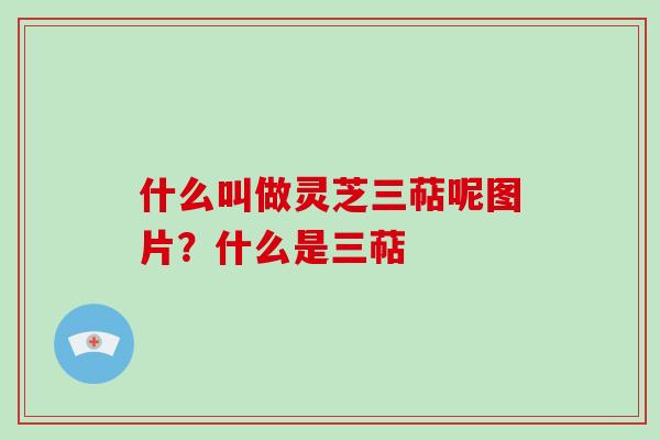 什么叫做灵芝三萜呢图片?什么是三萜-第1张图片-破壁灵芝孢子粉研究指南 什么叫做灵芝三萜呢图片?什么是三萜-第1张图片-破壁灵芝孢子粉研究指南