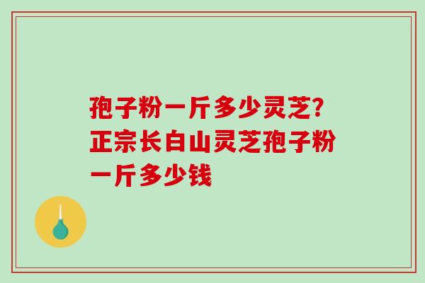 孢子粉一斤多少灵芝?正宗长白山灵芝孢子粉一斤多少钱-第1张图片-破壁灵芝孢子粉研究指南 孢子粉一斤多少灵芝?正宗长白山灵芝孢子粉一斤多少钱-第1张图片-破壁灵芝孢子粉研究指南