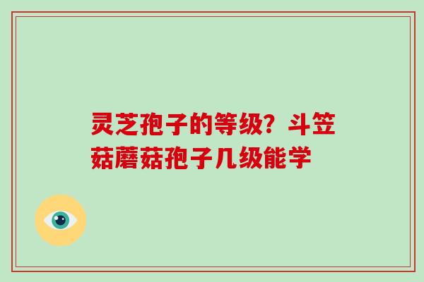 灵芝孢子的等级?斗笠菇蘑菇孢子几级能学-第1张图片-破壁灵芝孢子粉研究指南 灵芝孢子的等级?斗笠菇蘑菇孢子几级能学-第1张图片-破壁灵芝孢子粉研究指南