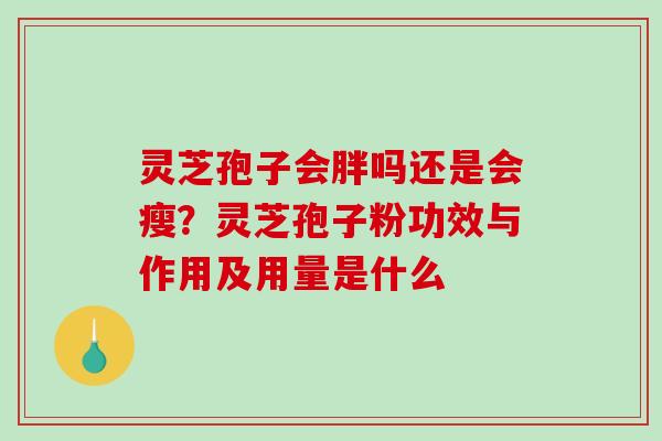 灵芝孢子会胖吗还是会瘦？灵芝孢子粉功效与作用及用量是什么-第1张图片-破壁灵芝孢子粉研究指南