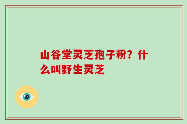 山谷堂灵芝孢子粉?什么叫野生灵芝-第1张图片-破壁灵芝孢子粉研究指南 山谷堂灵芝孢子粉?什么叫野生灵芝-第1张图片-破壁灵芝孢子粉研究指南