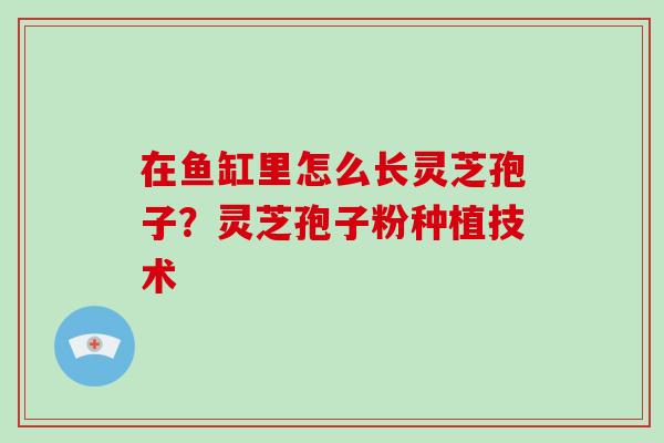 在鱼缸里怎么长灵芝孢子?灵芝孢子粉种植技术-第1张图片-破壁灵芝孢子粉研究指南 在鱼缸里怎么长灵芝孢子?灵芝孢子粉种植技术-第1张图片-破壁灵芝孢子粉研究指南