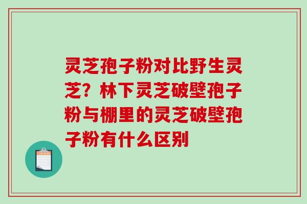 灵芝孢子粉对比野生灵芝？林下灵芝破壁孢子粉与棚里的灵芝破壁孢子粉有什么区别-第1张图片-破壁灵芝孢子粉研究指南