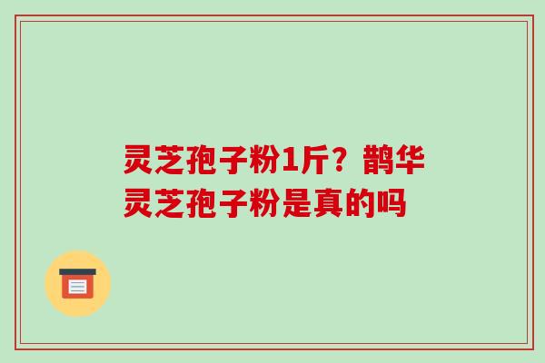 灵芝孢子粉1斤？鹊华灵芝孢子粉是真的吗-第1张图片-破壁灵芝孢子粉研究指南