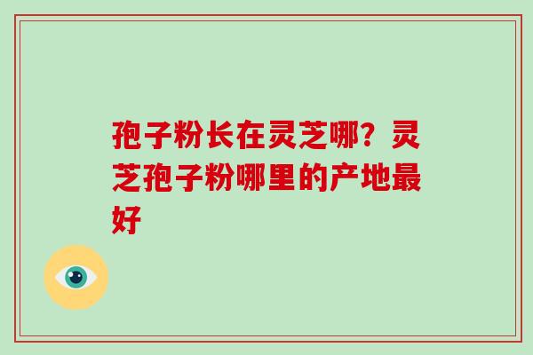 孢子粉长在灵芝哪?灵芝孢子粉哪里的产地最好-第1张图片-破壁灵芝孢子粉研究指南 孢子粉长在灵芝哪?灵芝孢子粉哪里的产地最好-第1张图片-破壁灵芝孢子粉研究指南