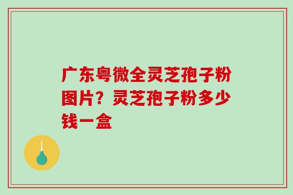 广东粤微全灵芝孢子粉图片?灵芝孢子粉多少钱一盒-第1张图片-破壁灵芝孢子粉研究指南 广东粤微全灵芝孢子粉图片?灵芝孢子粉多少钱一盒-第1张图片-破壁灵芝孢子粉研究指南