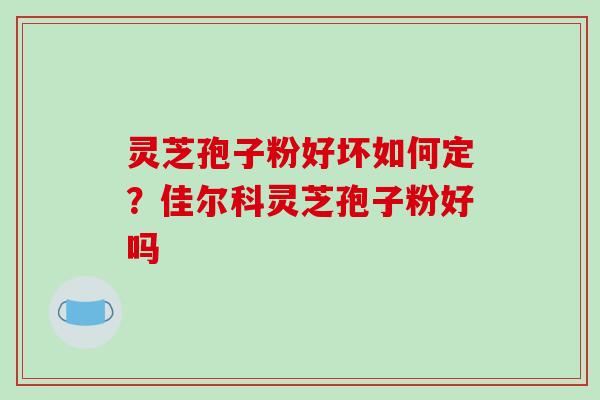 灵芝孢子粉好坏如何定?佳尔科灵芝孢子粉好吗-第1张图片-破壁灵芝孢子粉研究指南 灵芝孢子粉好坏如何定?佳尔科灵芝孢子粉好吗-第1张图片-破壁灵芝孢子粉研究指南