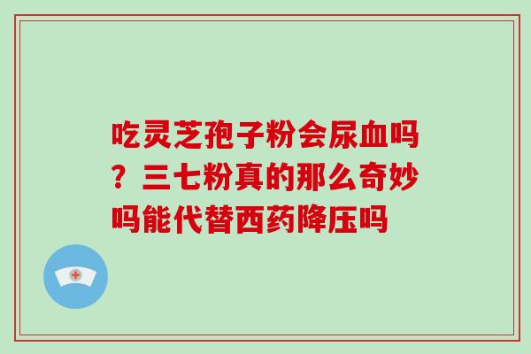 吃灵芝孢子粉会尿血吗?三七粉真的那么奇妙吗能代替西药降压吗-第1张图片-破壁灵芝孢子粉研究指南 吃灵芝孢子粉会尿血吗?三七粉真的那么奇妙吗能代替西药降压吗-第1张图片-破壁灵芝孢子粉研究指南