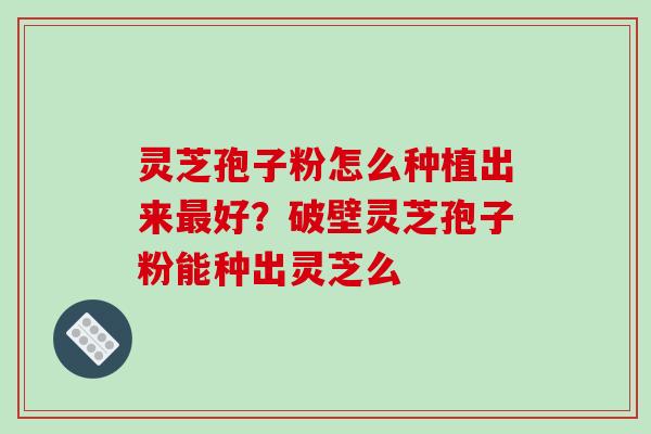 灵芝孢子粉怎么种植出来最好？破壁灵芝孢子粉能种出灵芝么-第1张图片-破壁灵芝孢子粉研究指南
