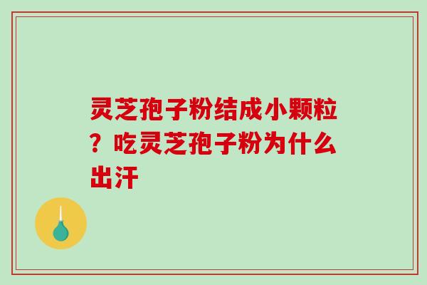 灵芝孢子粉结成小颗粒？吃灵芝孢子粉为什么出汗-第1张图片-破壁灵芝孢子粉研究指南