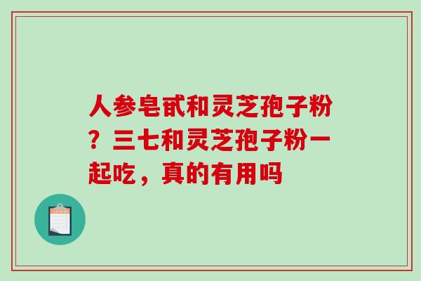 人参皂甙和灵芝孢子粉?三七和灵芝孢子粉一起吃,真的有用吗-第1张图片-破壁灵芝孢子粉研究指南 人参皂甙和灵芝孢子粉?三七和灵芝孢子粉一起吃,真的有用吗-第1张图片-破壁灵芝孢子粉研究指南