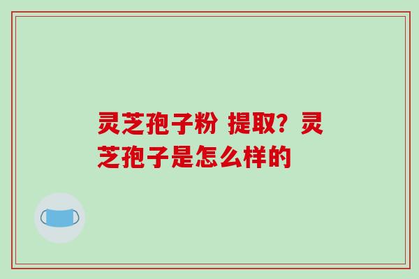 灵芝孢子粉 提取?灵芝孢子是怎么样的-第1张图片-破壁灵芝孢子粉研究指南 灵芝孢子粉 提取?灵芝孢子是怎么样的-第1张图片-破壁灵芝孢子粉研究指南