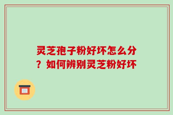 灵芝孢子粉好坏怎么分?如何辨别灵芝粉好坏-第1张图片-破壁灵芝孢子粉研究指南 灵芝孢子粉好坏怎么分?如何辨别灵芝粉好坏-第1张图片-破壁灵芝孢子粉研究指南