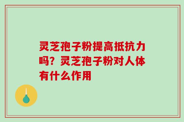 灵芝孢子粉提高抵抗力吗?灵芝孢子粉对人体有什么作用-第1张图片-破壁灵芝孢子粉研究指南 灵芝孢子粉提高抵抗力吗?灵芝孢子粉对人体有什么作用-第1张图片-破壁灵芝孢子粉研究指南