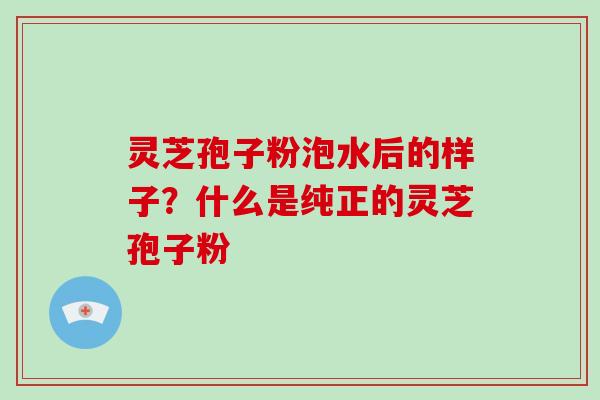 灵芝孢子粉泡水后的样子?什么是纯正的灵芝孢子粉-第1张图片-破壁灵芝孢子粉研究指南 灵芝孢子粉泡水后的样子?什么是纯正的灵芝孢子粉-第1张图片-破壁灵芝孢子粉研究指南