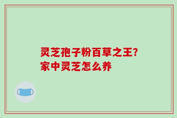 灵芝孢子粉百草之王?家中灵芝怎么养-第1张图片-破壁灵芝孢子粉研究指南 灵芝孢子粉百草之王?家中灵芝怎么养-第1张图片-破壁灵芝孢子粉研究指南