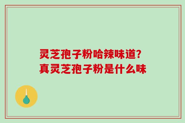 灵芝孢子粉哈辣味道?真灵芝孢子粉是什么味-第1张图片-破壁灵芝孢子粉研究指南 灵芝孢子粉哈辣味道?真灵芝孢子粉是什么味-第1张图片-破壁灵芝孢子粉研究指南