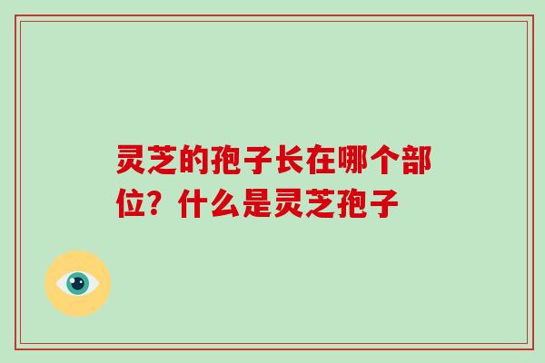 灵芝的孢子长在哪个部位?什么是灵芝孢子-第1张图片-破壁灵芝孢子粉研究指南 灵芝的孢子长在哪个部位?什么是灵芝孢子-第1张图片-破壁灵芝孢子粉研究指南